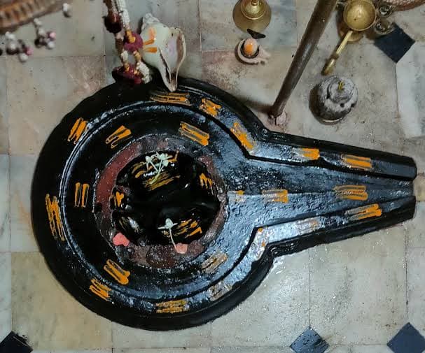 WhatsApp Image 2026 01 15 at 16.43.27